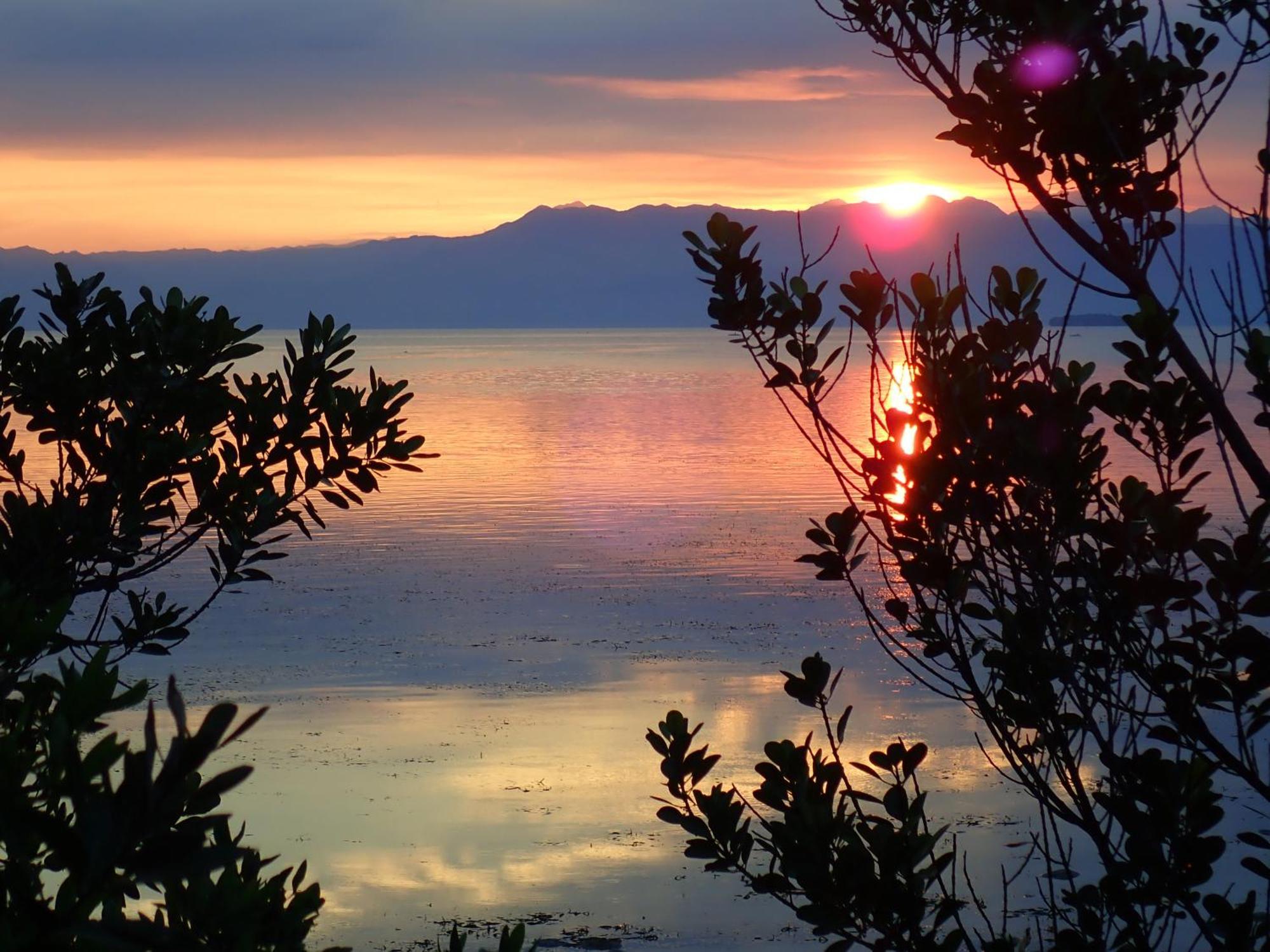 Eskapo Verde Lodge Moalboal Badian Dış mekan fotoğraf