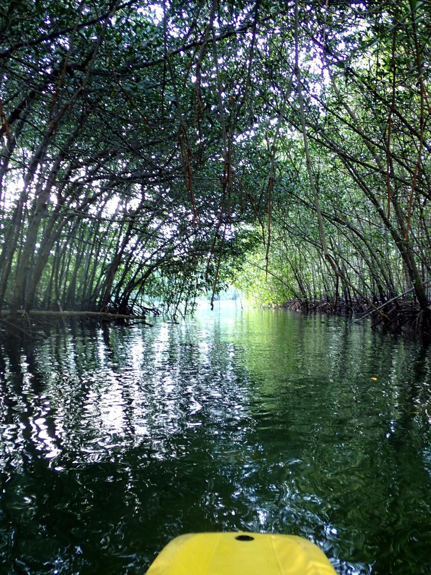 Eskapo Verde Lodge Moalboal Badian Dış mekan fotoğraf